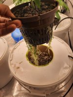 photo148438.jpg