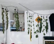 thumbnail-1.jpg