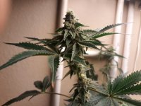 20211207_100404.jpg