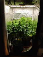 IMG_20220110_172757.jpg