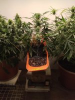 photo150639.jpg