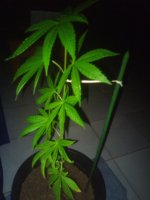 IMG_20220117_000721_517.jpg