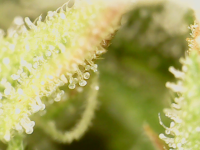 20220117_17_57_11.png
