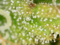 20220122_15_53_56.png