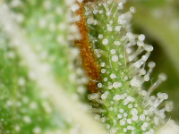 20220122_15_54_07.png