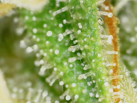 20220122_15_54_23.png