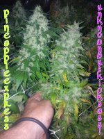 Picsart_22-01-26_20-11-52-621.jpg