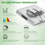 TSW 2000_2.jpg