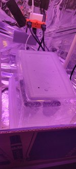 20220126_144144.jpg