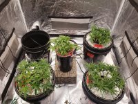 photo152109.jpg