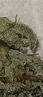 Resized_20220225_183450.jpeg