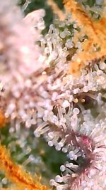 2022_02_27_05_46_52_649.png.jpg