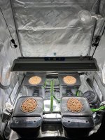 26E72658-1FD0-4A9A-8181-8A19DDC345B2.jpeg