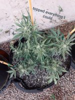 20220526_013641.jpg