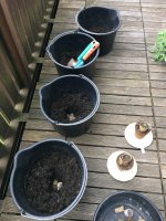 01_buckets_with_stones.JPG
