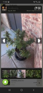 Screenshot_20220603-114251_Chrome.jpg