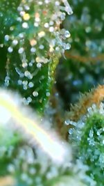2022_07_02_20_00_23_294.png.jpg