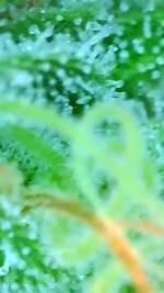 2022_07_03_04_45_11_181.png.jpg