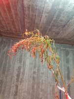 20170411_210012.jpg