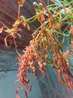 20170411_210016.jpg