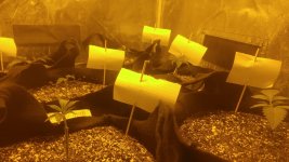 20170414_105149-2656x1494.jpg