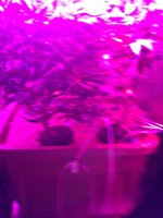 IMG_0828.JPG