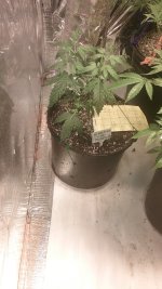 20170416_215257.jpg
