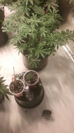 20170416_215245.jpg