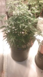 20170416_215238.jpg