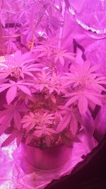 20170416_215113.jpg