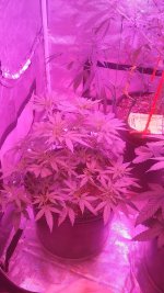 20170416_215109.jpg