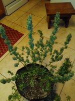IMG_20170418_175703.jpg