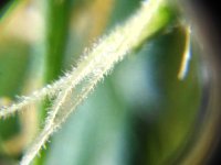 IMG_20170415_133557_HDR.jpg