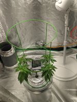 PXL_20220806_025428342.jpg