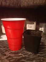 20220402_090441.jpg