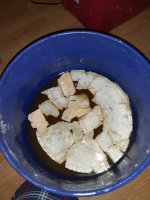 20220808_101759.jpg