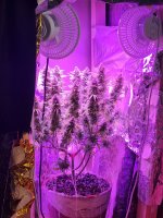 20220817_112718.jpg