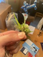 TNJ8lpX.jpg