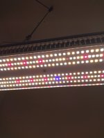 IMG_20220918_135043538.jpg