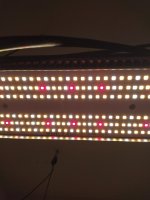 IMG_20220918_135051222.jpg