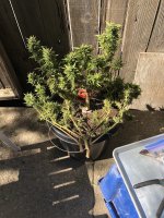IMG_1364.jpg