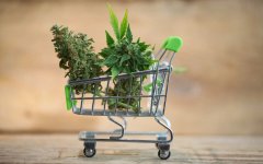 Weed shopping-cart.jpg