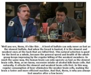 Beer makes you smarter.png