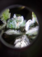 20221205_123550.jpg