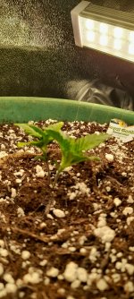 20221209_135859.jpg