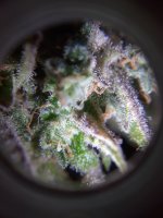 20221209_162410.jpg
