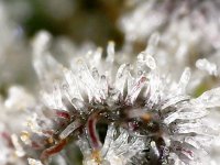 photo160042.jpg