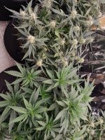 20221220_104326[1].jpg