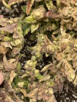 photo160362.jpg