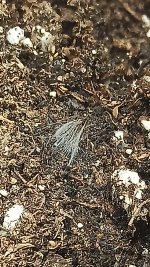 IMG_20230113_174842.jpg